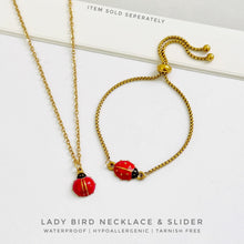 Ladybird Necklace or Slider Bracelet Jewelry Sets