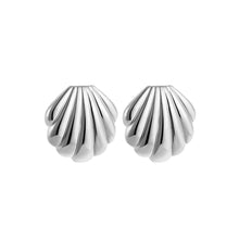 Shell Stud Earring Earrings
