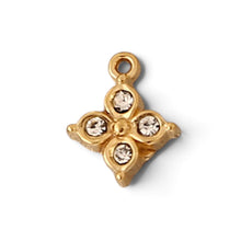 Sparkles Charm Charm