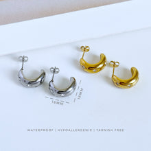 Stardust Stud Earring Earrings