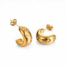 Stardust Stud Earring Earrings