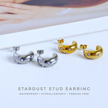 Stardust Stud Earring Earrings