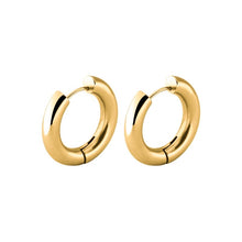Thick Hoop Earring Earrings