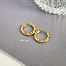 Thick Hoop Earring Earrings